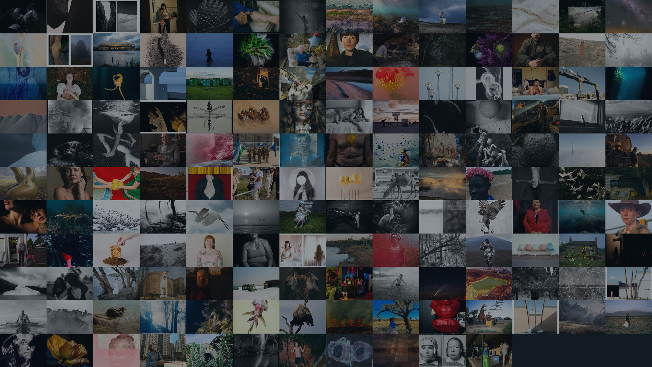 2026 Australian Photography Awards